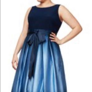 SL Fashions Ombre Gown